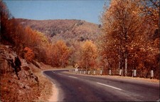 Virginia Shenandoah Natl Park Highway 211 fall foliage ~ postcard  sku097