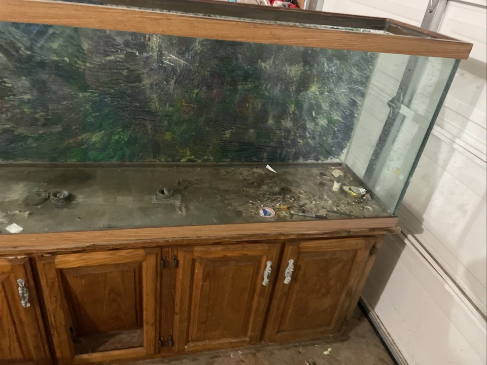 Acuario de peces con soporte tanque de vidrio de 100 galones Foto 2 de 4