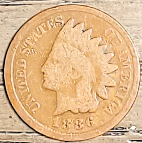 1886 1C BN INDIAN HEAD CENT IN GOOD CONDITION-TYPE 2