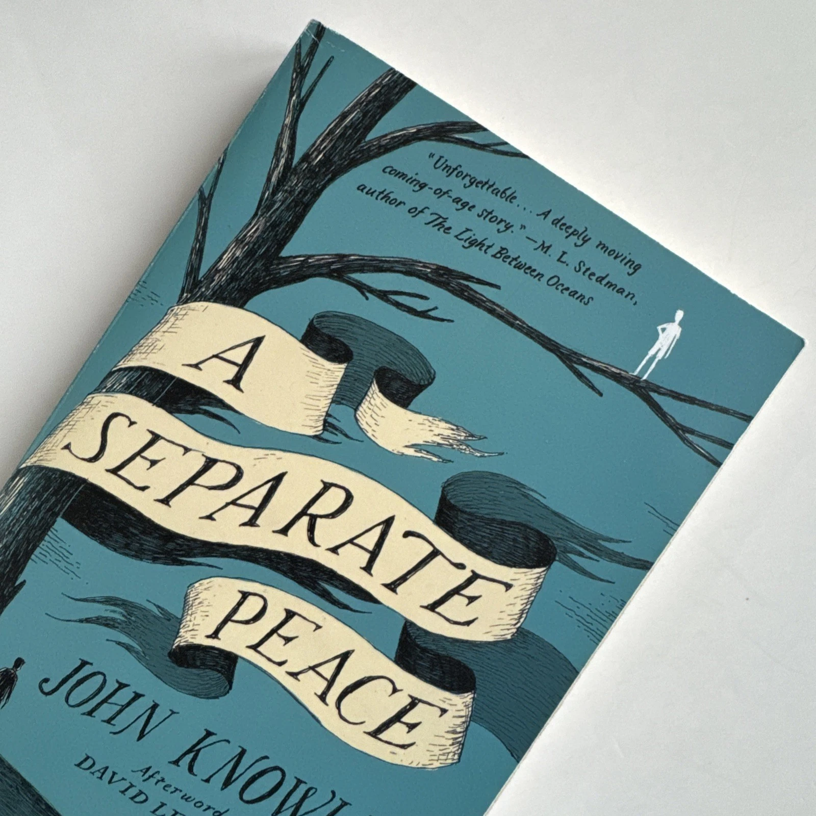 A Separate Peace by Knowles, John