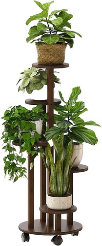 Gartenbambus Obelisk 125-150cm - Fargesia nitida | eBay