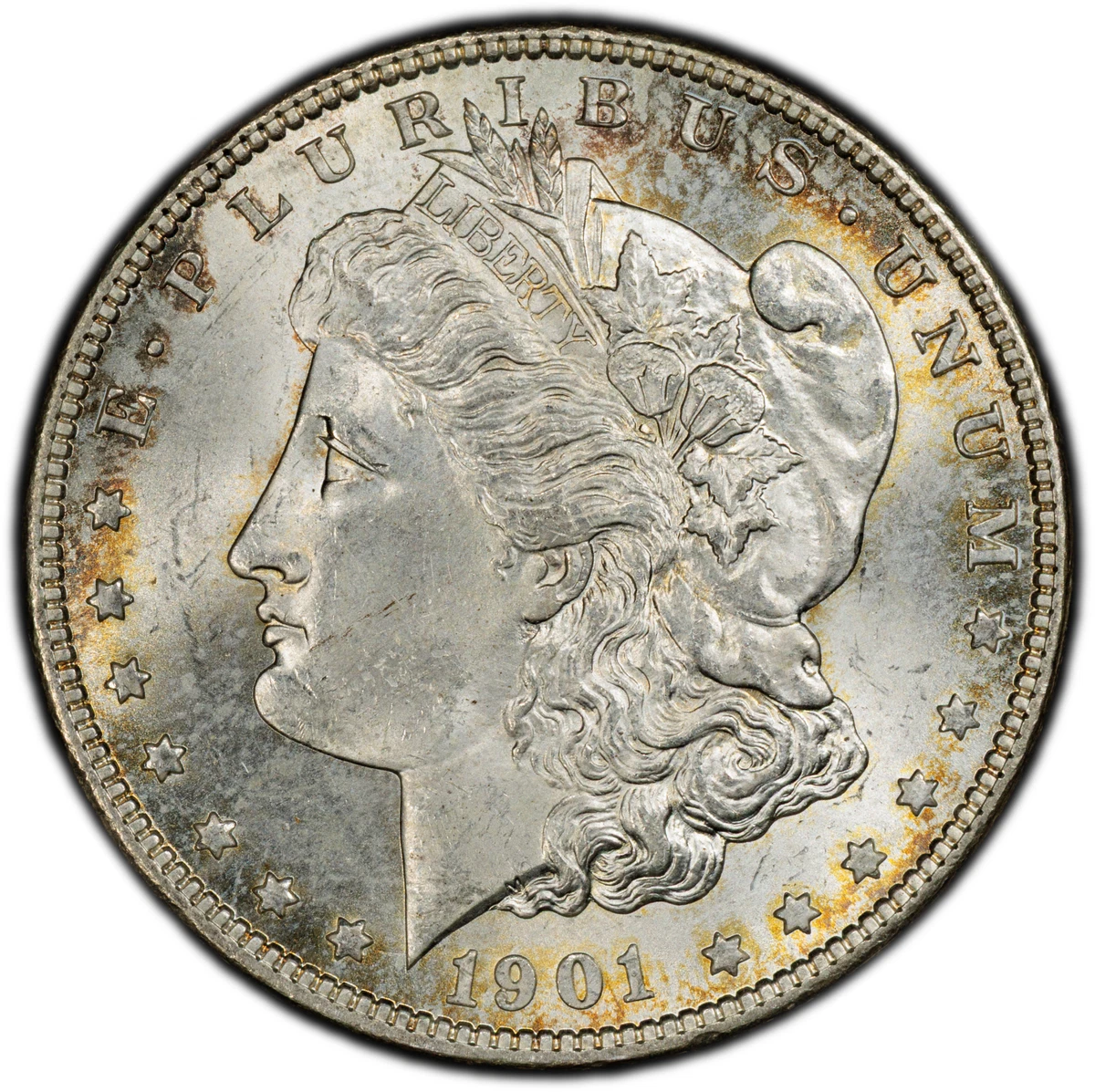 目録20世紀1901 ~1998年　バラ売りorおまとめ 1901 Year Grade MS 65 Morgan Dollars (1878-1921) for sale | eBay
