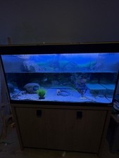 Fluval Roma 200L Aquarium with Stand 2 Internal Filters Air Pump And Decorations