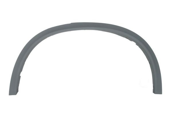 Left Rear BLIC 5703-04-0096597PP Trim/Protection Strip, wing for BMW