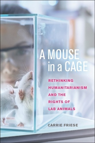A Mouse in a Cage by Carrie Friese - 9781479833481