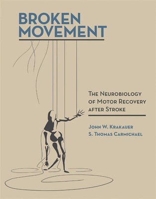 Gebrochene Bewegung: Die Neurobiologie der motorischen Erholung nach Schlaganfall - Carmich...