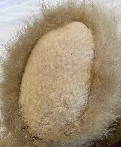 Artist Kathleen Wallace Stier Jointed~Large 17” Gold Mohair growler teddy bear - Picture 7 of 9