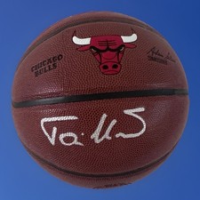 Chicago Bulls Collecting and Fan Guide 88