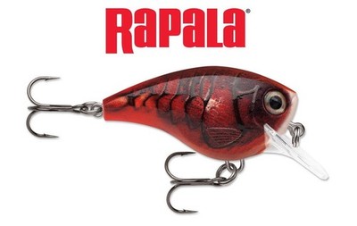 Rapala  BX  Brat 5cm/10g - 6' /1,8m - Barsch, Hecht, Zander, ...