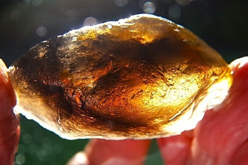 Quartz, Natural Crystal, Faceting Quartz, Australian Rough 205 Ct Quartz. - Picture 4 of 6