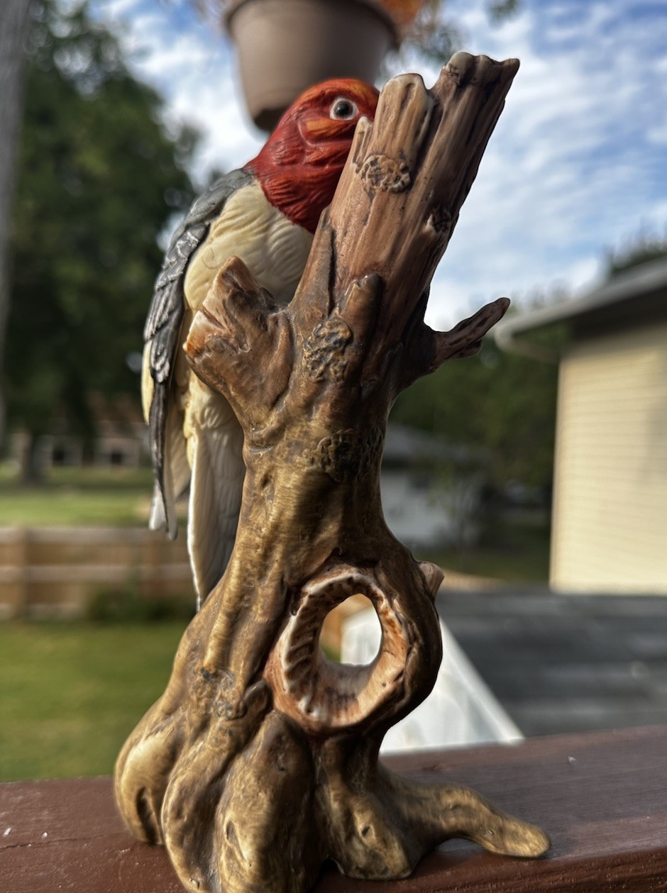 Picture 3 of 8