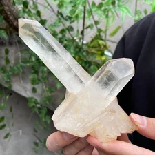 340g Natural Clear white crystal quartz point cluster specimen Chakras Healing