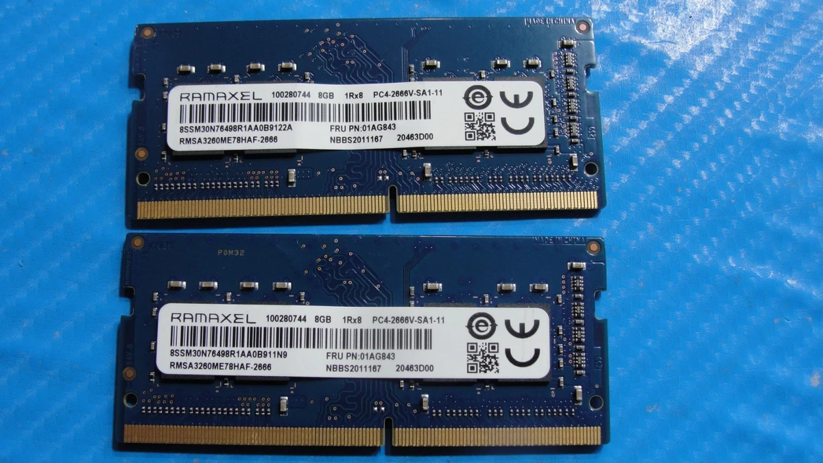 Ramaxel PC4-21300 (DDR4-2666) Bus Speed DDR4 SDRAM Memory (RAM