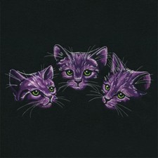 Moonlit Kitten Trio SWEATSHIRT EMBROIDERED Beautiful