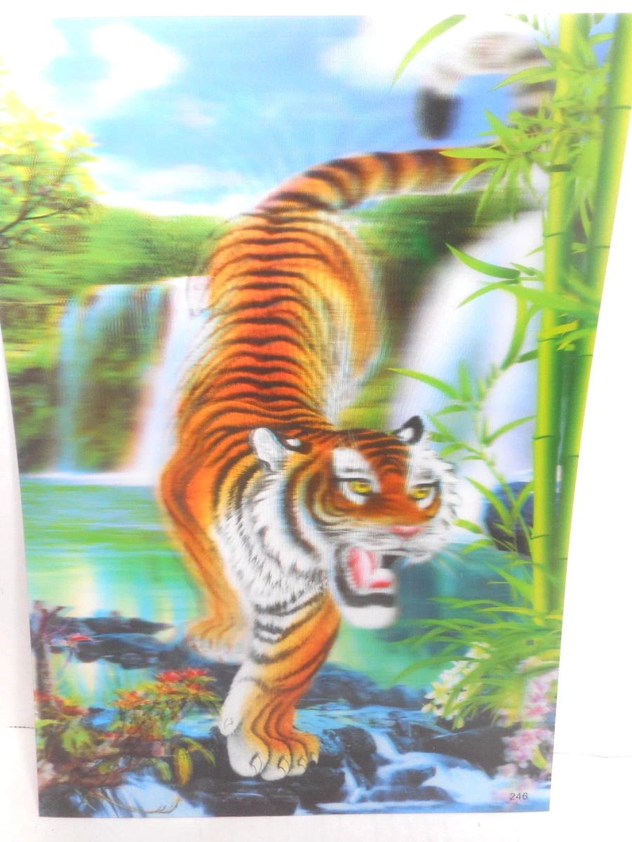 TIGRE 3D Photo frame effect