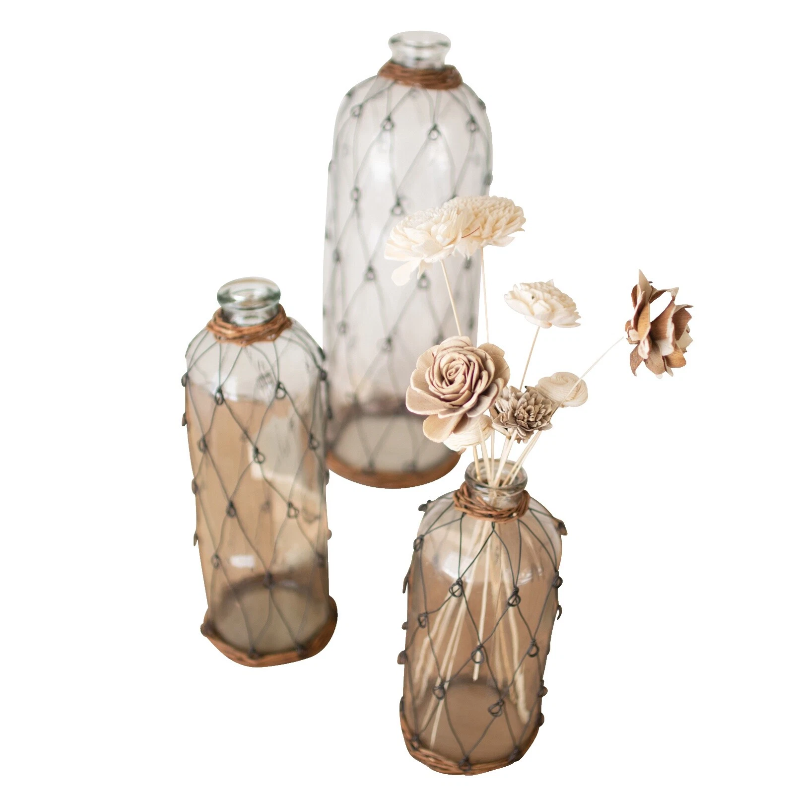 Botella de Vidrio jarrones de Transición