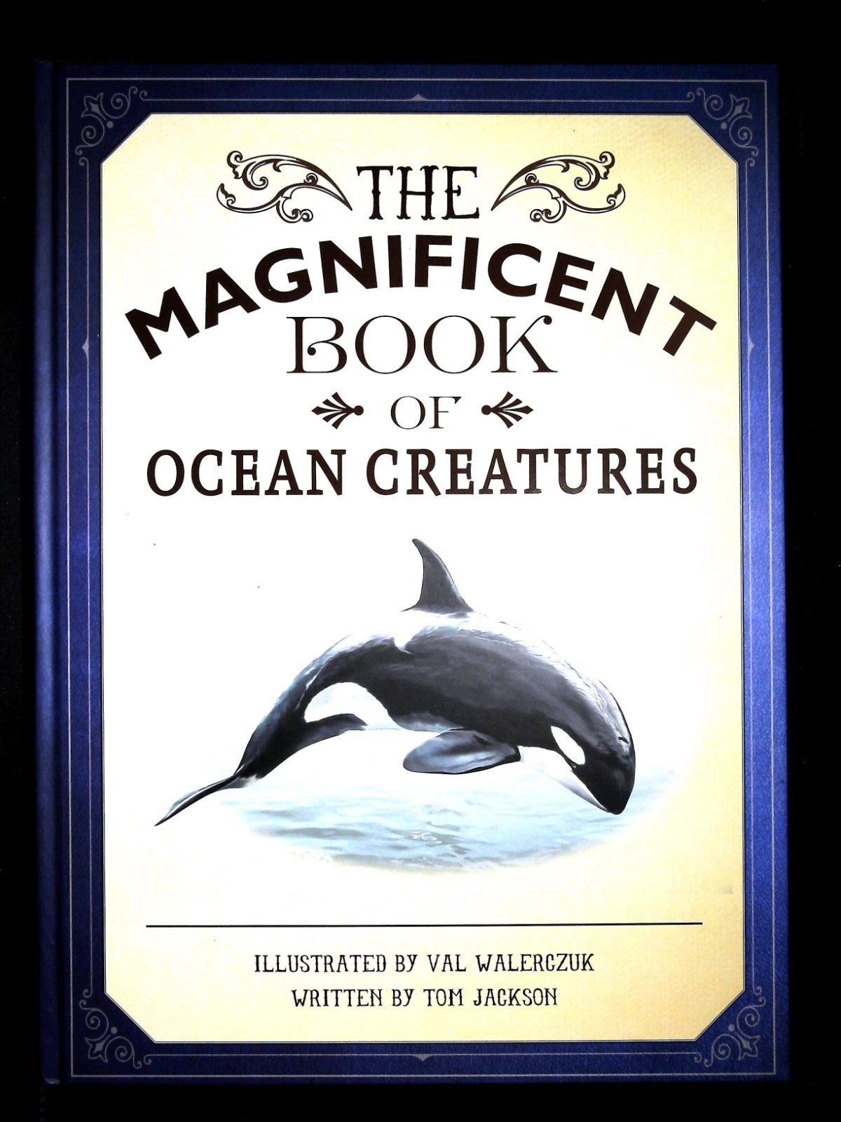 The Magnificent Book of Ocean Creatures by Tom Jackson (Hardcover) New