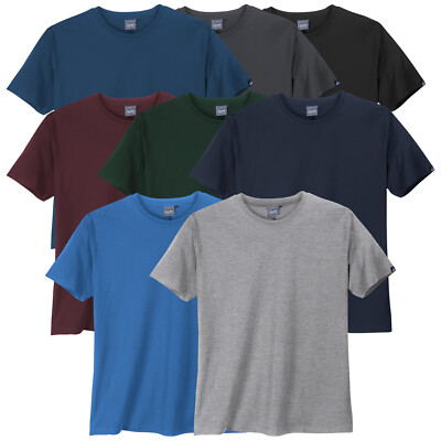 Ahorn Übergrößen T-Shirt Basic Rundhals 2XL 3XL 4XL 5XL 6XL 7XL 8XL 10XL NEu