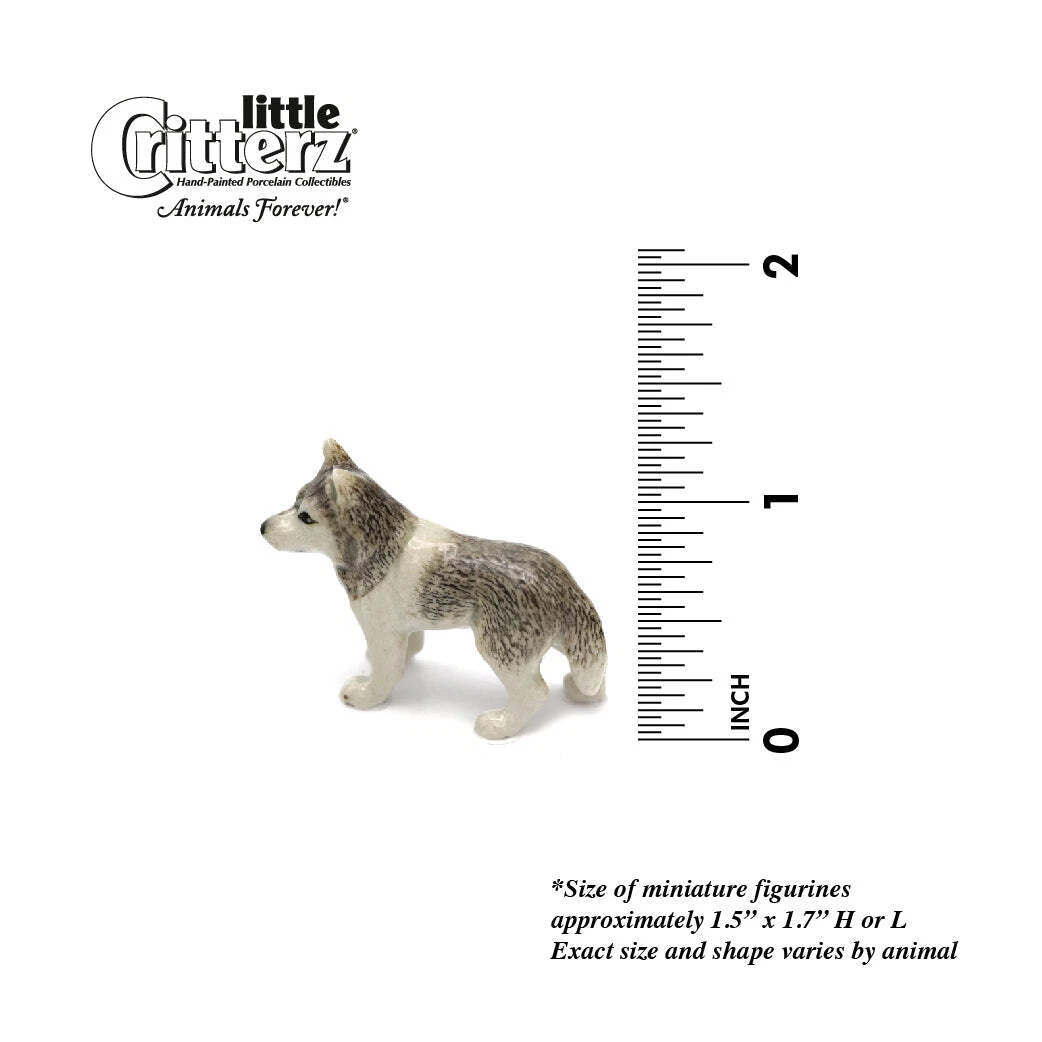 Little siberians clearance
