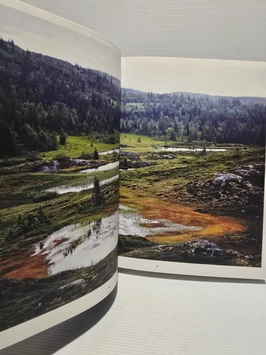 FAVIKEN Hardcover Magnus Nilsson 2012 Phaidon Swedish Cookbook (AC) - Bild 17 von 18