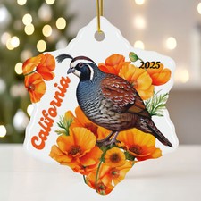 California Quail Ornament 2025   State Bird Snowflake Ceramic Christmas Gift