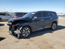 PALISADE 2023 Antenna 9799219