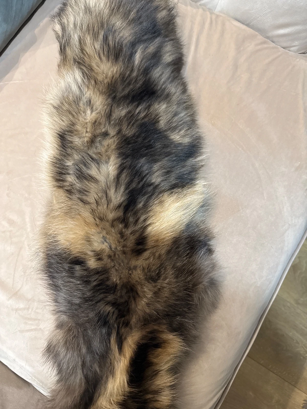 fur collar