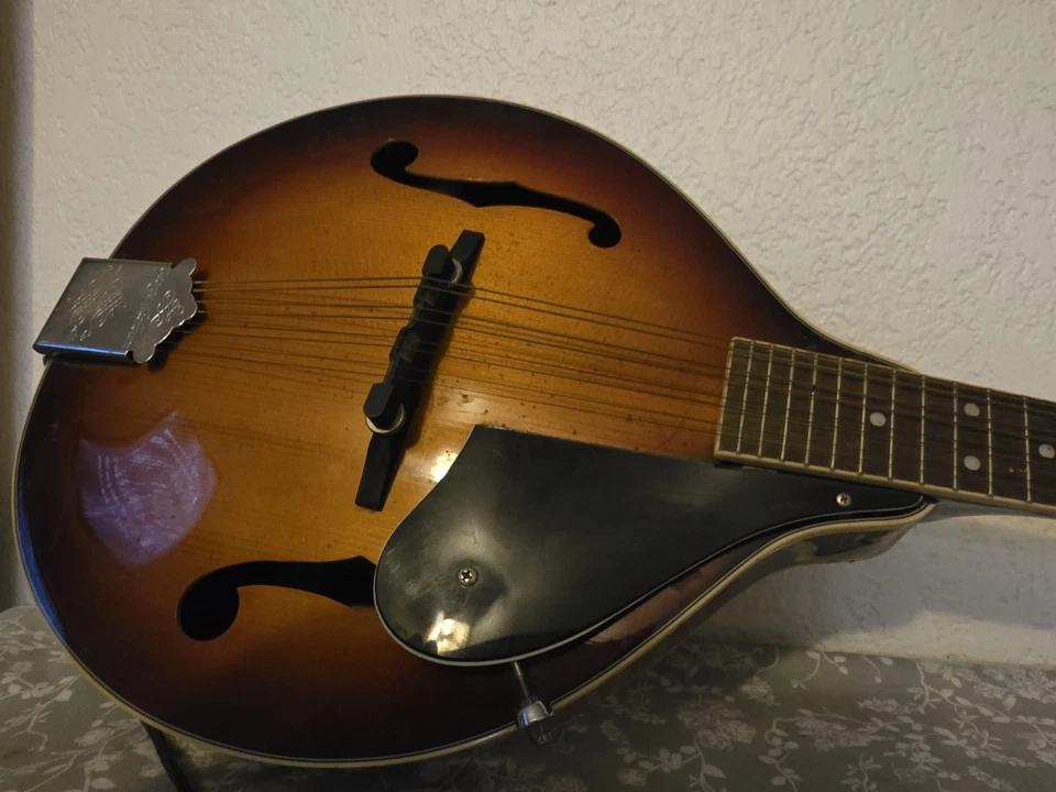 Washburn Mandolin 8-String Bluegrass M1SDLTR-A Tabacco Color - Image 4 of 4