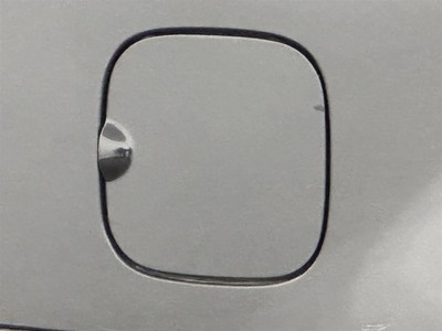 FLEX      2014 Fuel Filler Door 2738623