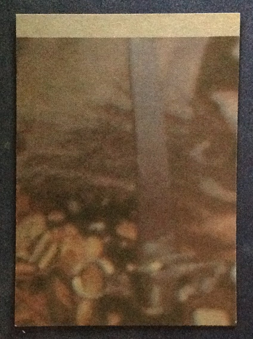 Picture 78 of 101