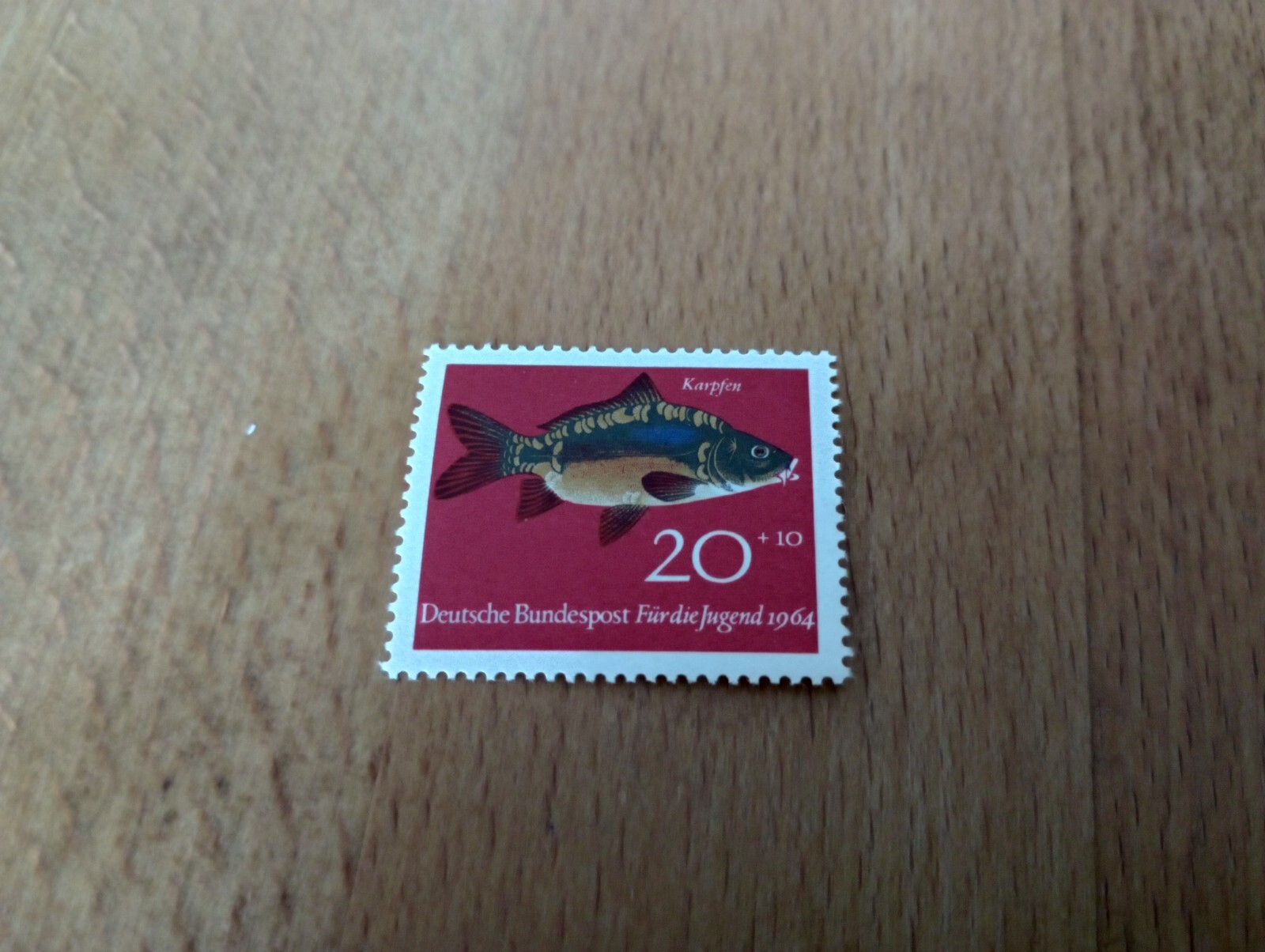 Bild 4 von 6