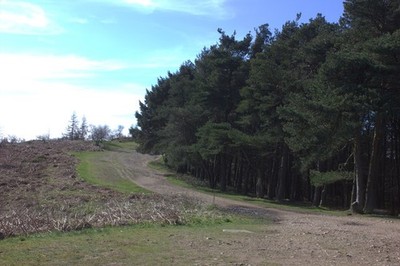 Foto 6x4 Wrekin Pfad bei Hell Gate Cludley c2019