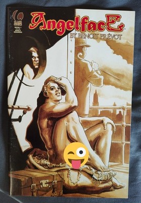 **RARE** CLASS COMICS LOT: Angelface, Sandstorm & Brother to Dragons