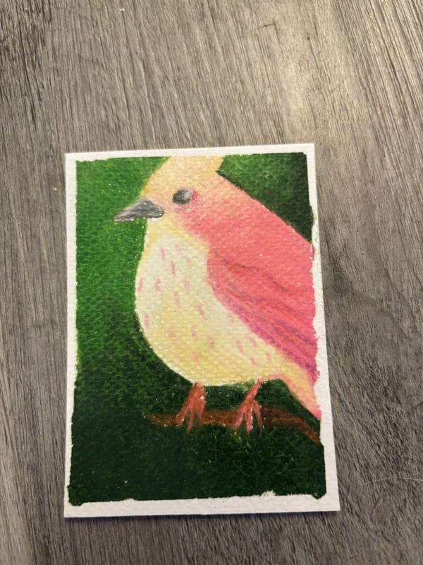 Colored pencil pink and yellow finch   ACEO ORIGINAL card signed
