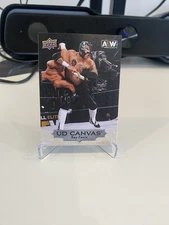 Rey Fenix C7 UD Canvas Upper Deck AEW 2022