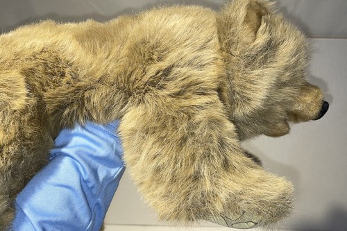 Folkmanis Grizzly Bear Cub Hand Puppet Full Body 15" Plush Realistic Stuffed Toy - Picture 11 of 12