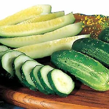 Cucumber Homemade Pickles    250 seeds