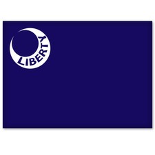 Fort Moultrie Liberty Flag Car Bumper Window Sticker 5 X 4