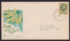 AUSTRALIA PRE DECIMAL 1959 2/3 WATTLE FDC COVER GERALDTON WA (RC24)