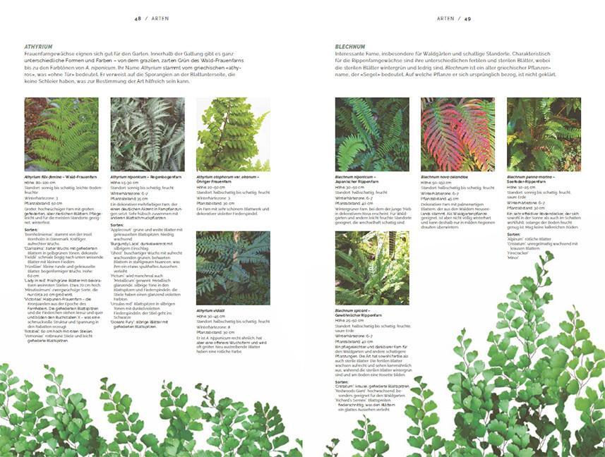 Thumbnail - Farne Anton Sundin