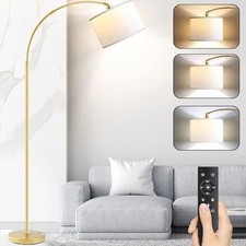 Arc Floor Lamps for Living Room, Modern Remote Control Gold with Remote
