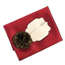 NEW Men  s pocket square and lapel pin
