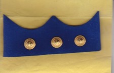 Szwajcaria - Vaud Policja kantońska - Obszycie munduru (paski) z 3 guzikami - Rzadkość