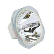 Original Ushio Bare Projector Lamp For Epson ELPLP30