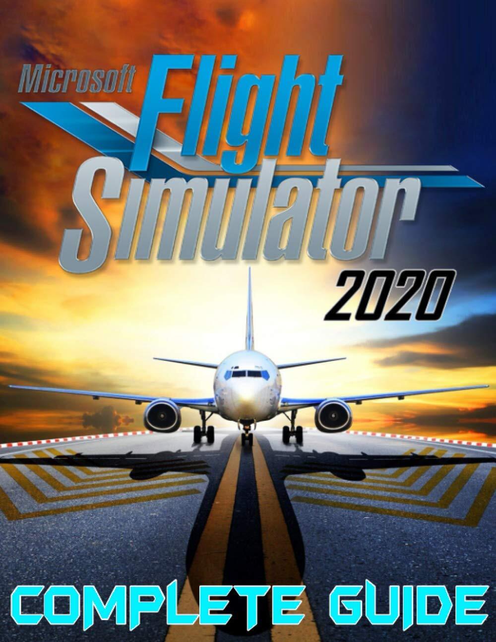 Microsoft Flight Simulator 2020 by Nicole Patlan