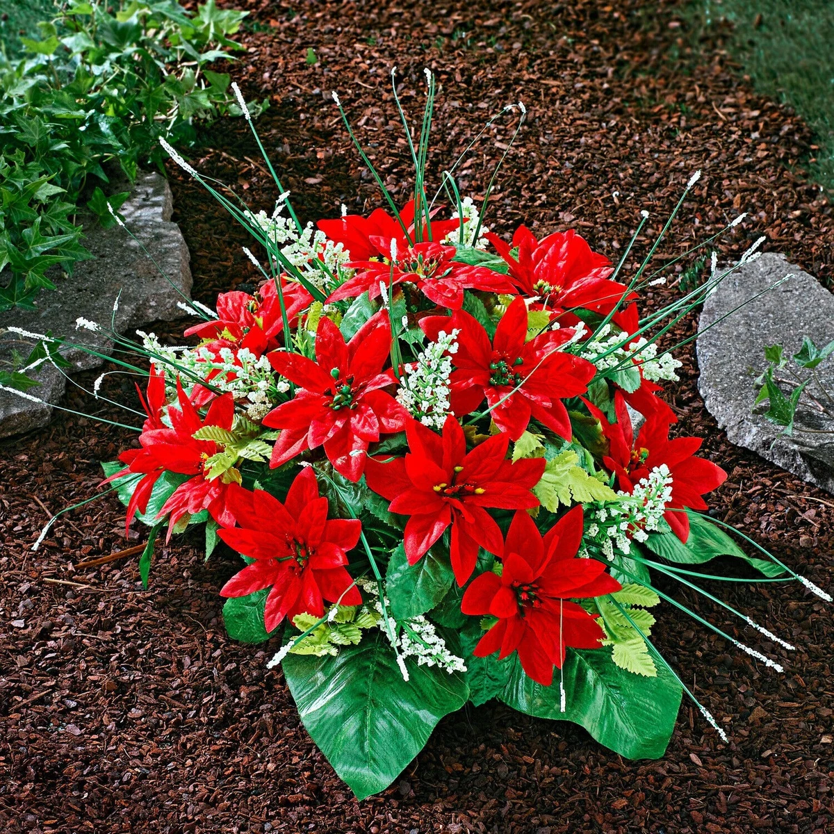 kolbenfaden zimmerpflanze Aglaonema Silver Bay | Kolbenfaden main image 1