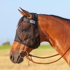 Cashel Quiet Ride Horse Fly Mask, Standard, Small Horse/Arab, Black