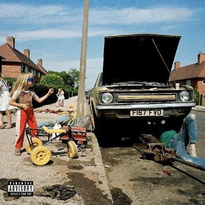 Sam Morton - Daffodils & Dirt [New Vinyl LP]