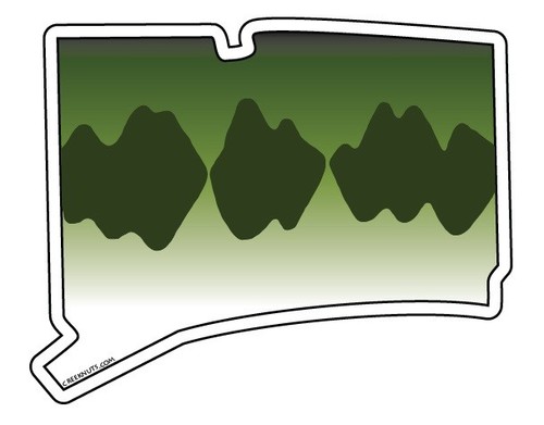 LARGEMOUTH BASS STATE stickers decals fishing MANY STATES fly fishing   - Picture 22 of 68