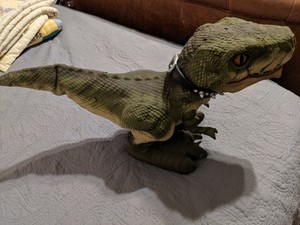 d rex toy